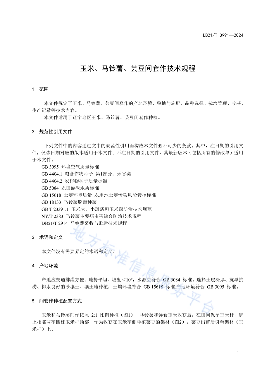 玉米、马铃薯、芸豆间套作技术规程DB21／T 3991-2024.pdf_第5页