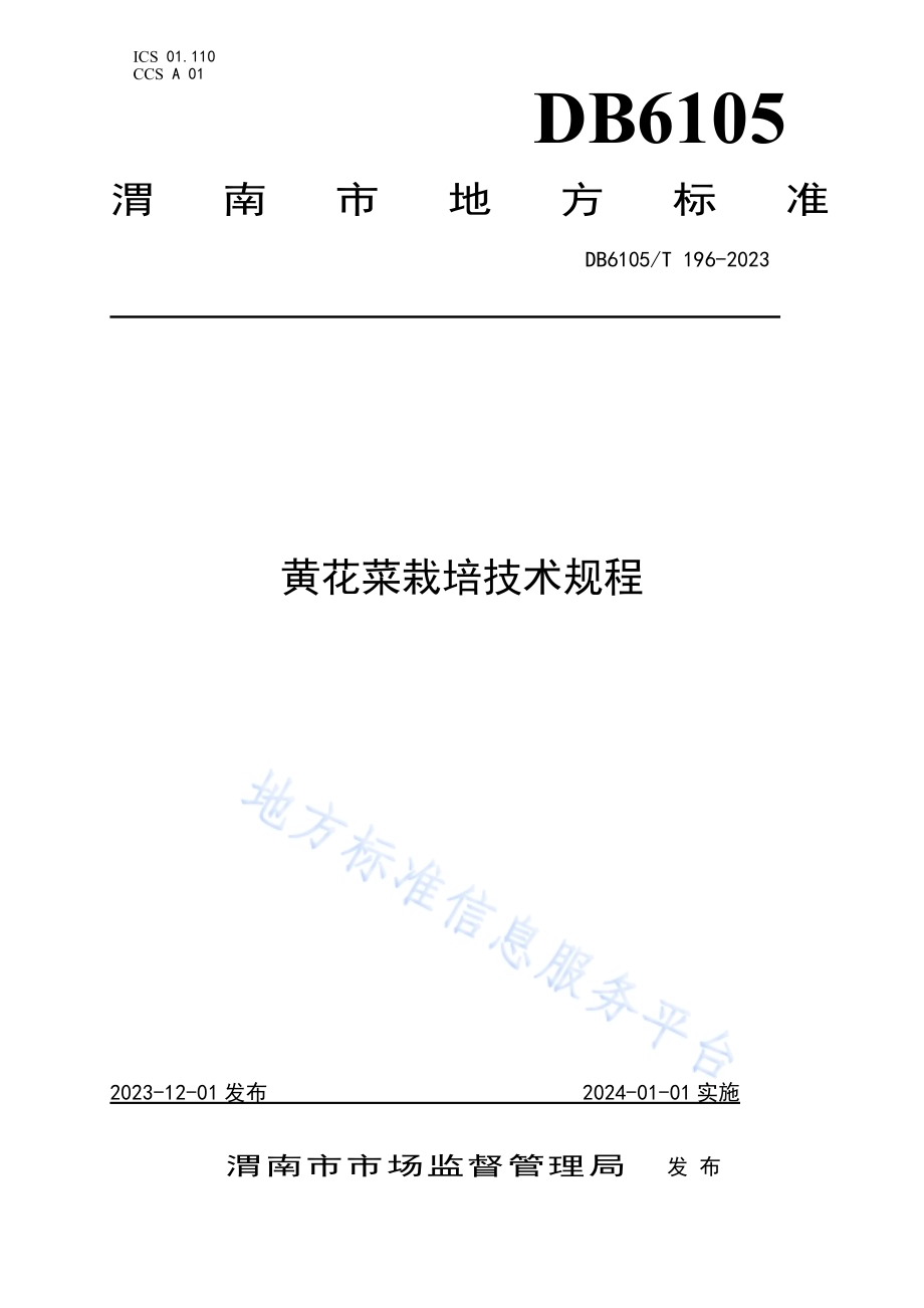 黄花菜生产技术规程DB6105／T 196-2023.pdf_第1页