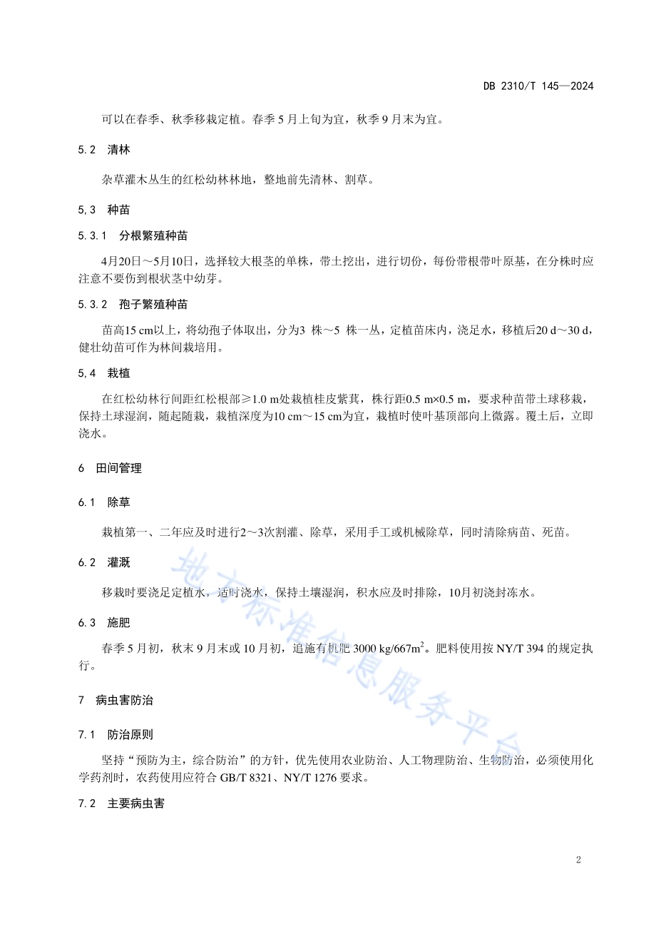 红松幼林间作桂皮紫萁栽培技术规程DB2310／T 145-2024.pdf_第4页