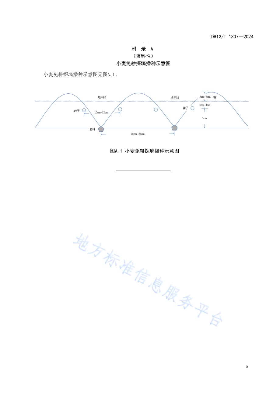 小麦免耕探墒播种技术规程DB12／T 1337-2024.pdf_第5页
