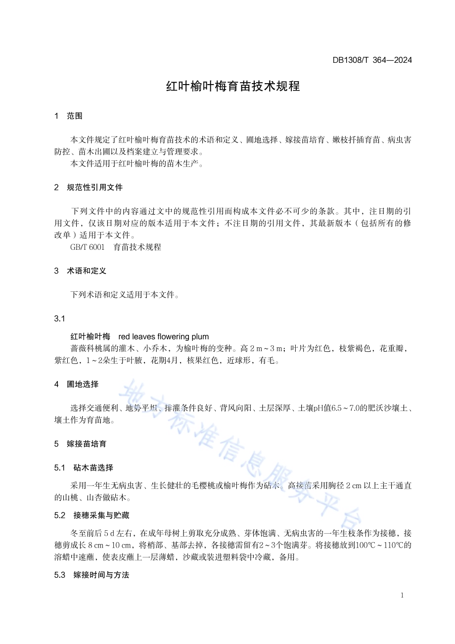 红叶榆叶梅育苗技术规程DB1308／T 364-2024.pdf_第3页