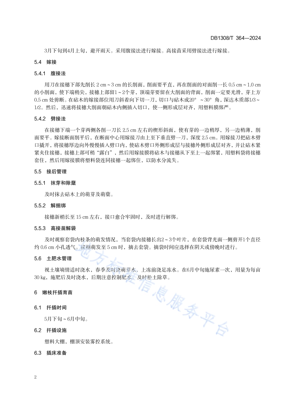 红叶榆叶梅育苗技术规程DB1308／T 364-2024.pdf_第4页